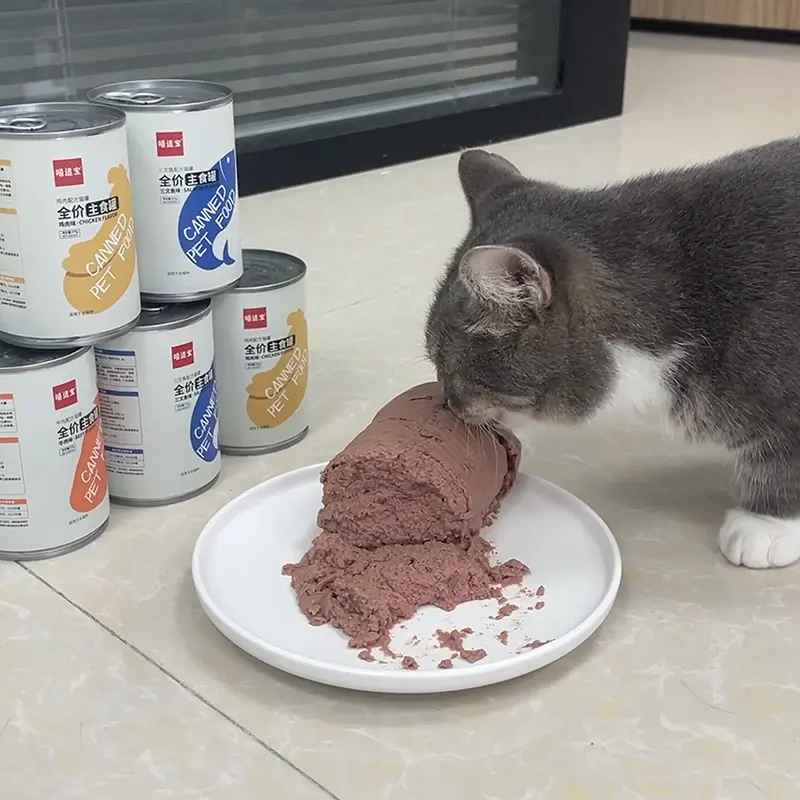 cat eating wet canned cat food