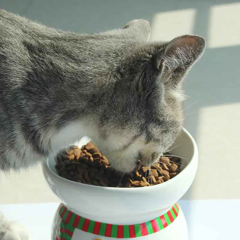 cold pressed all life stages dry cat food