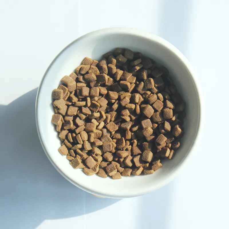 cold pressed dry cat food