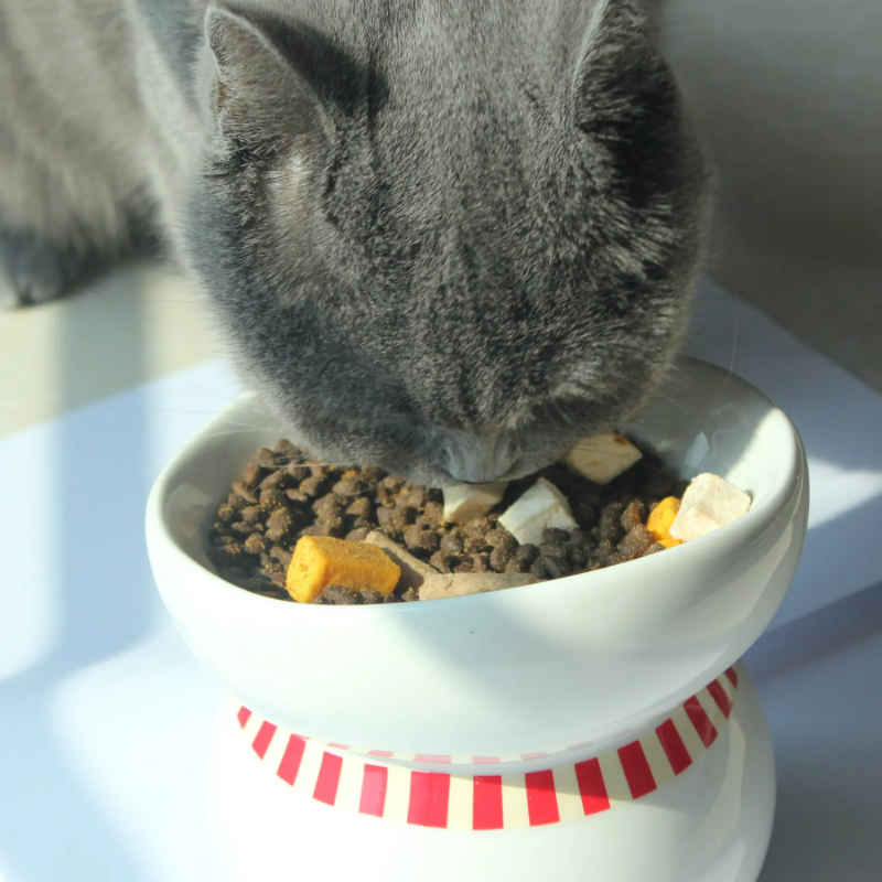 freeze dried complete all life stages dry cat food