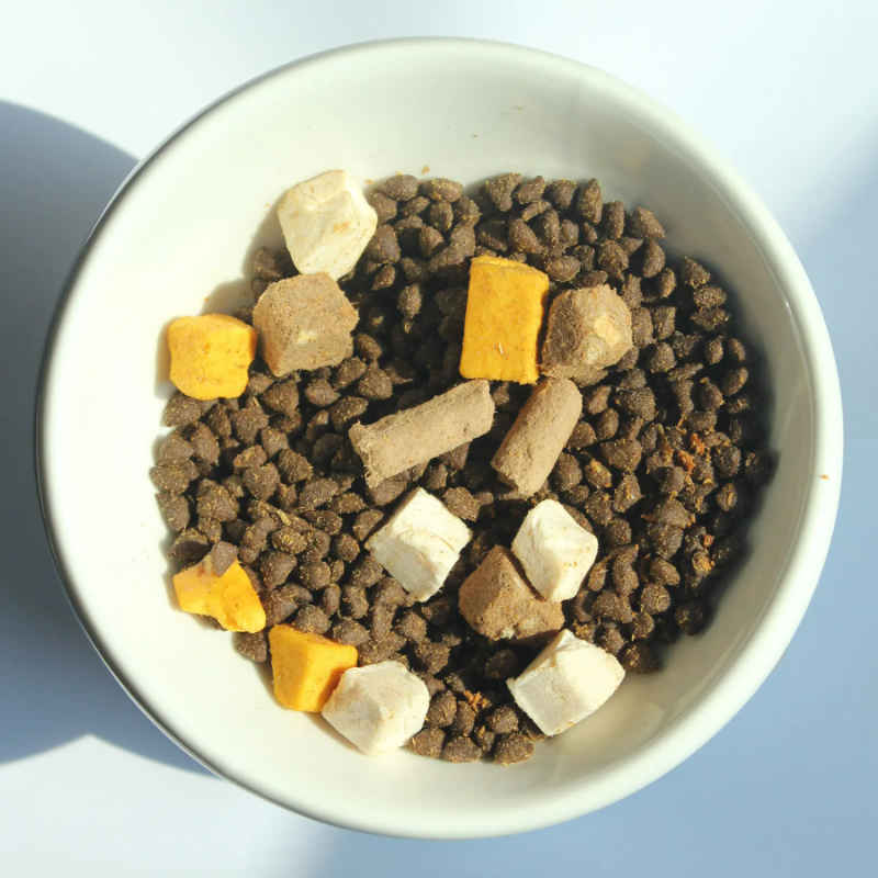 freeze dried dry cat food