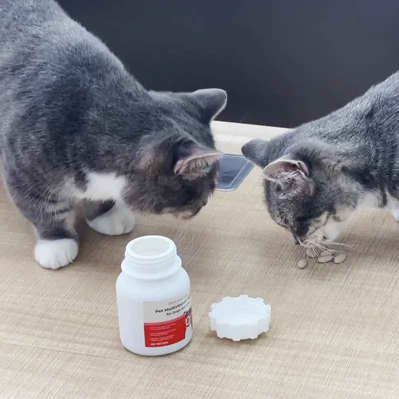 multivitamin supplement tablets for dogs and cats