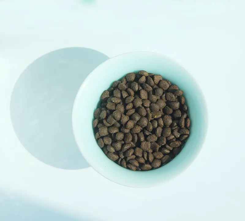 natural insect protein dog food