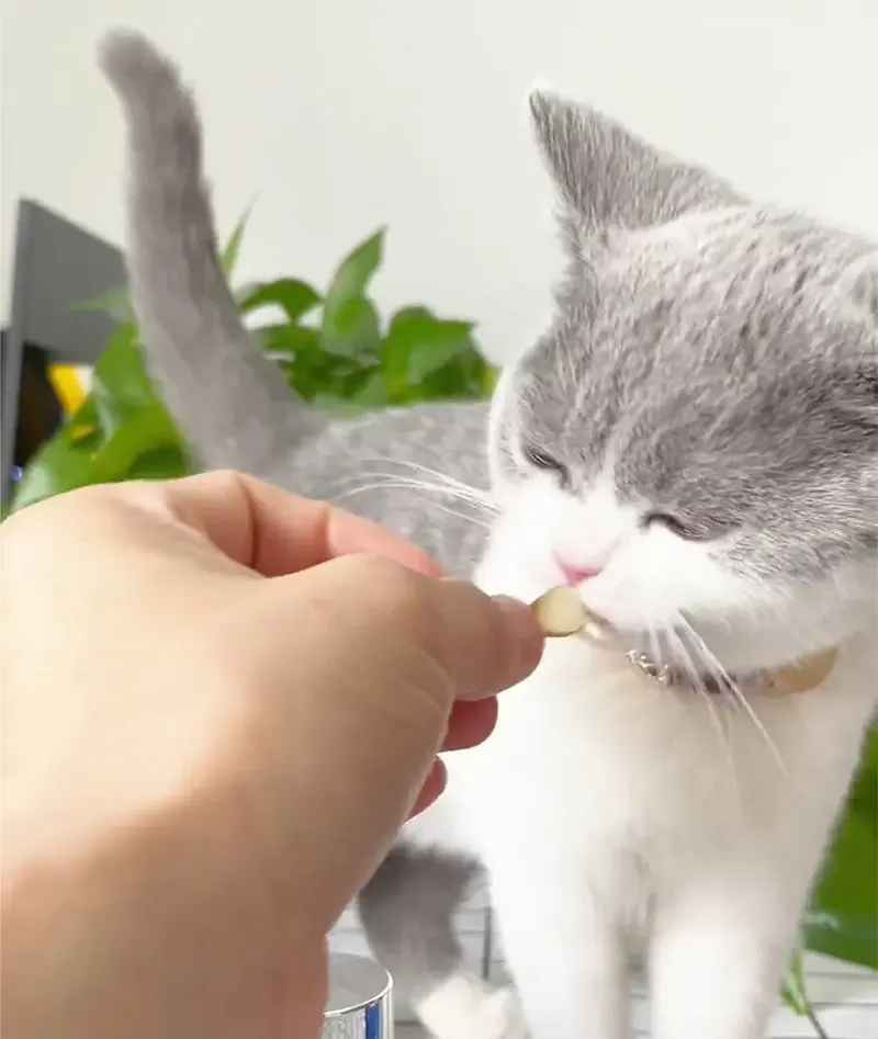 omega fish oil softgels for cats