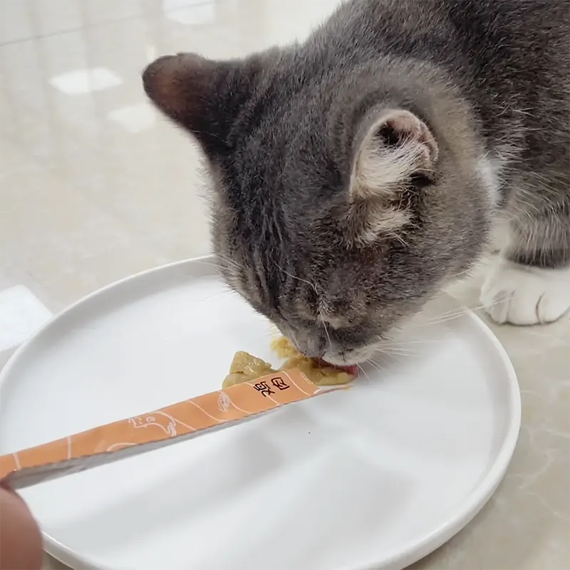 chicken creamy cats treat