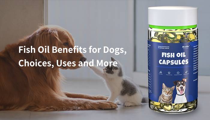 fish oil benefits for dogs