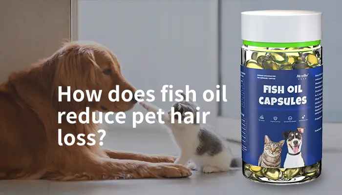 how does fish oil reduce pet hair loss