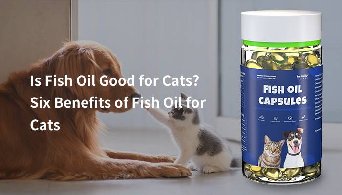 is fish oil good for cats six benefits of fish oil for cats