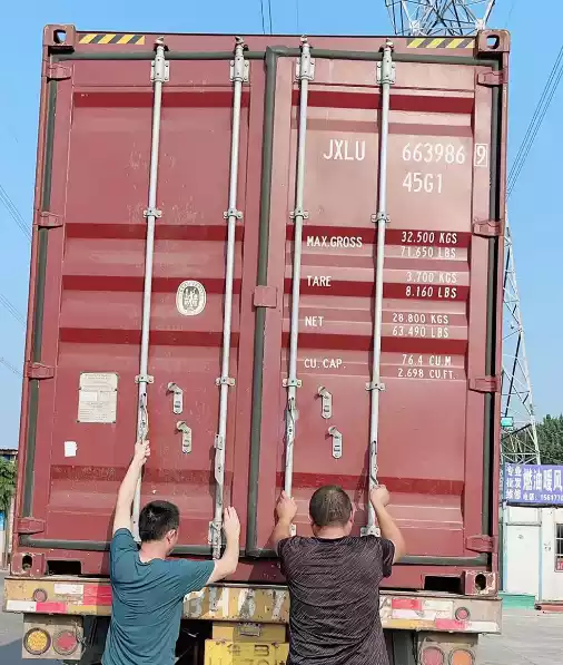 lecithin and hairball control supplement shipped to russia