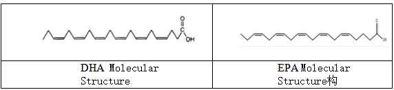 structure of epa and dha