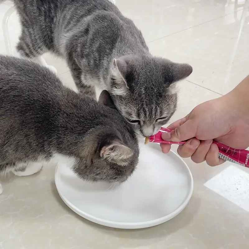 tuna shrimp snacks for cat