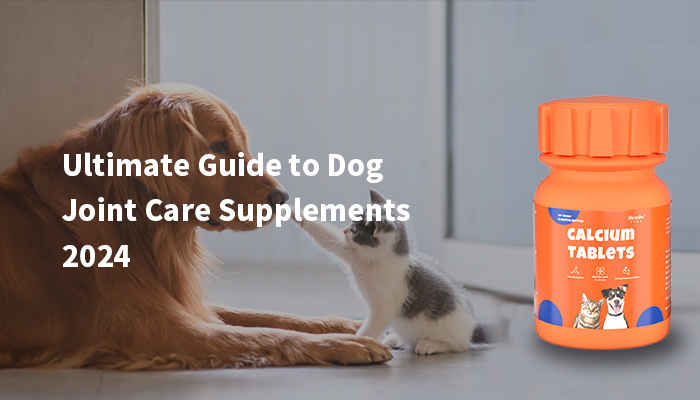 ultimate guide to dog joint care supplements 2024