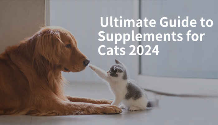 ultimate guide to supplements for cats 2024