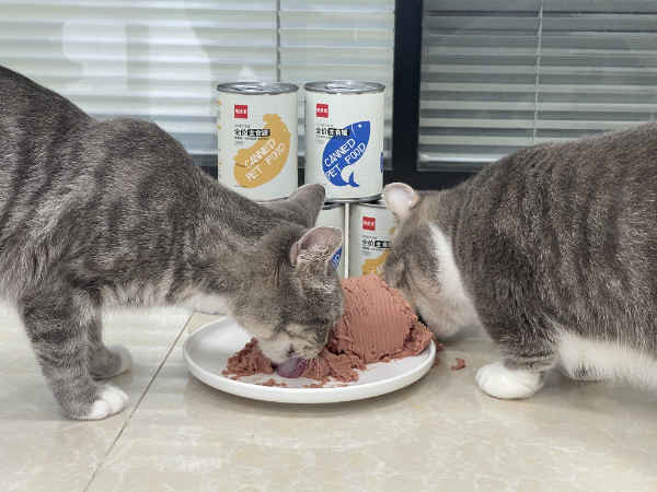 is wet cat food good for cats
