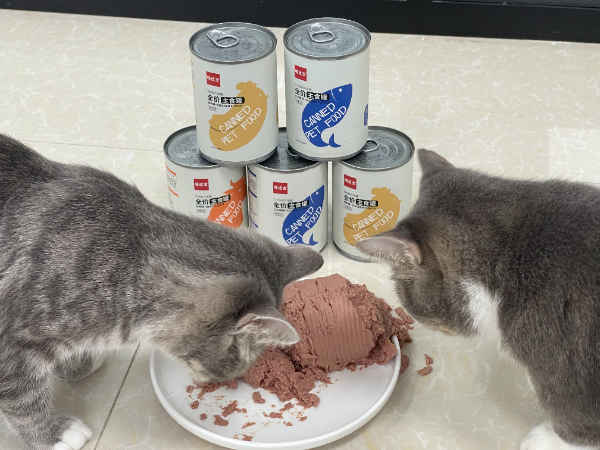 what are the best wet foods for cats with sensitive stomachs