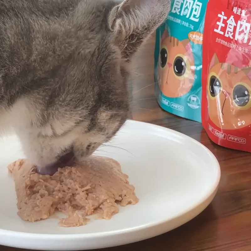 why my cat doesnt eat wet food