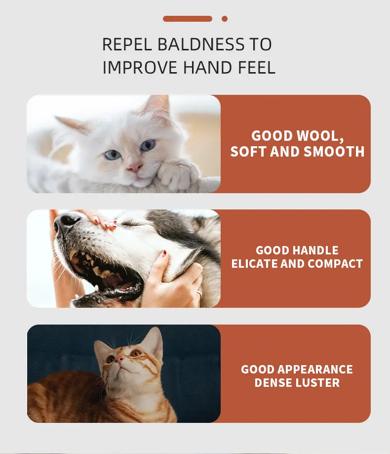 benefits of hsviko lecithin capsules for dogs and cats 2