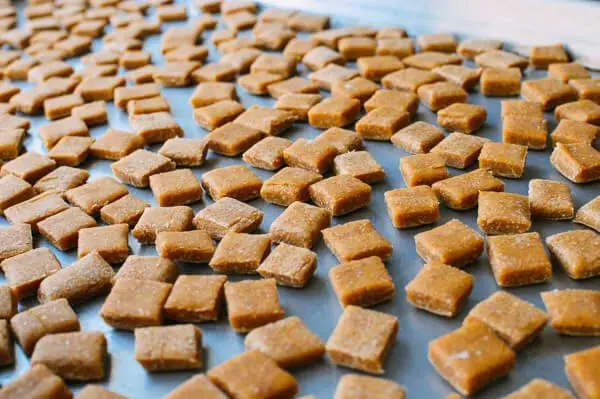 homemade dry dog food