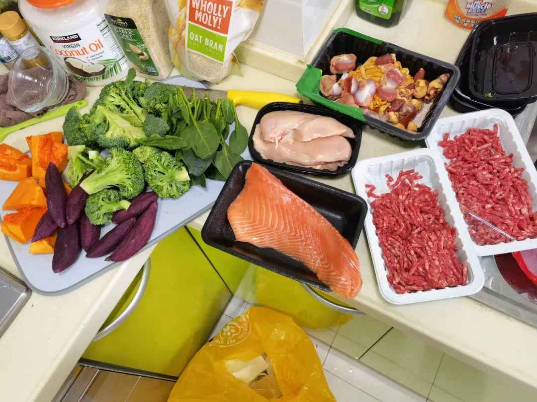 homemade healthy dog food