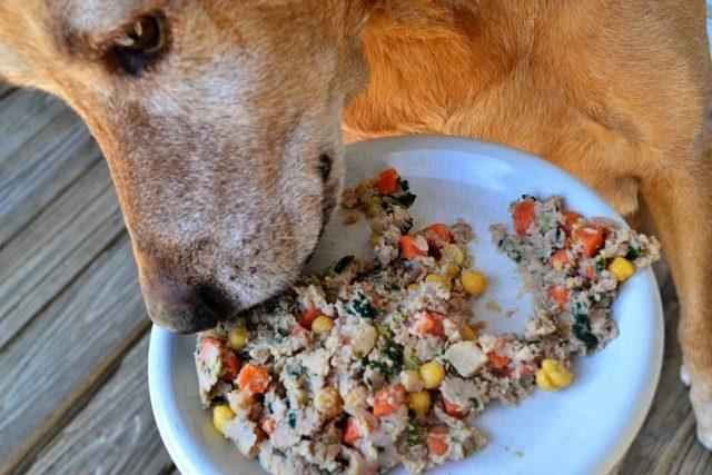 what supplements should i add to homemade dog food