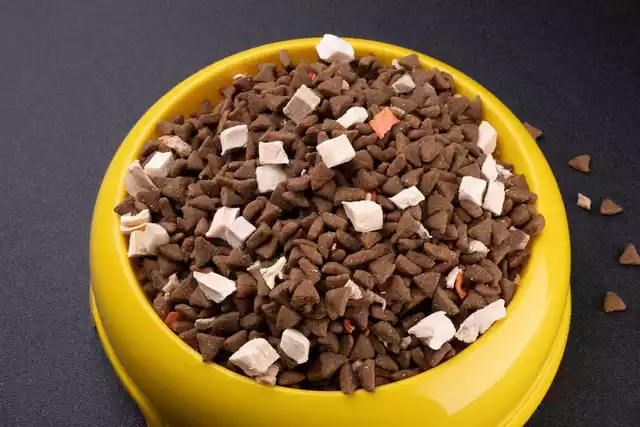 is grain free cat food better