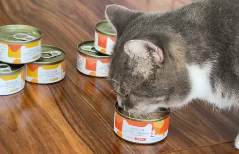 can wet food hydrate your cat