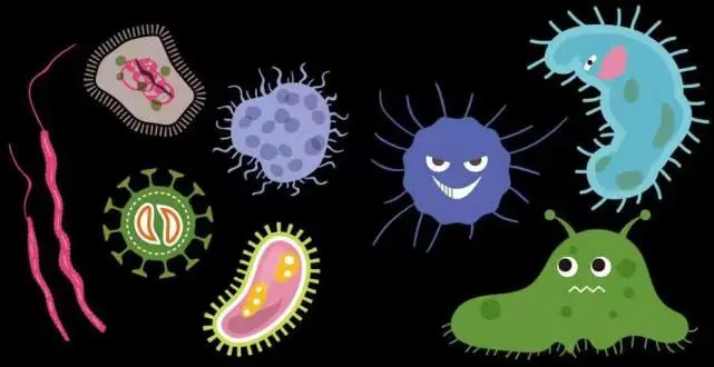 antibiotics and intestinal dysbiosis in dogs