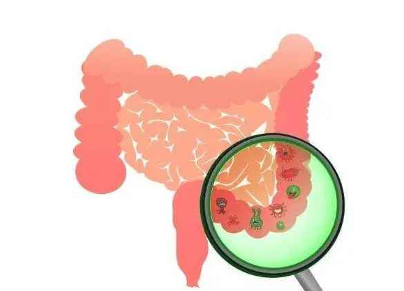 should dogs take probiotics with antibiotics
