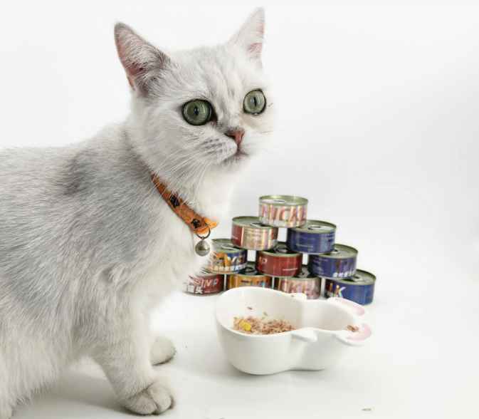 can kittens eat treats