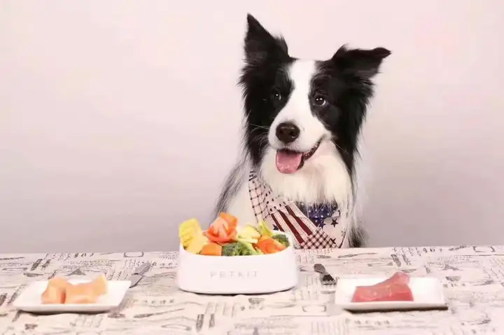 what food is good for dog bones and joints